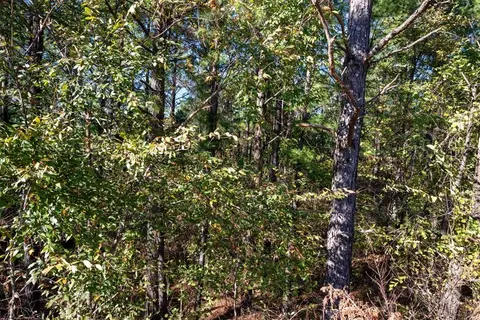 561 Timberline Trl, Broken Bow, OK 74728 photo 15