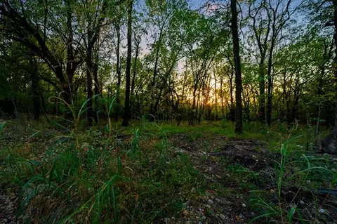 River Bluff Road, Idabel, OK 74745 photo 9