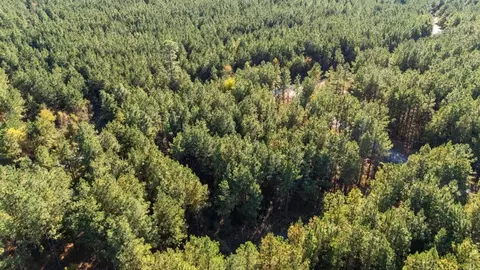 24 Cedar Tree Trl, Broken Bow, OK 74728 photo 10