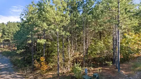 24 Cedar Tree Trl, Broken Bow, OK 74728 photo 2