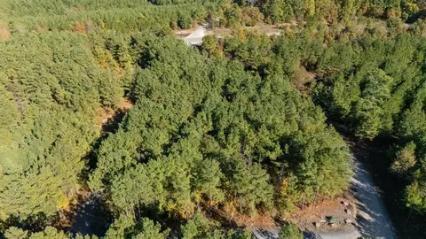 24 Cedar Tree Trl, Broken Bow, OK 74728 photo 6