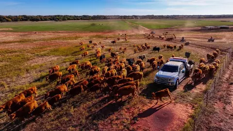 180000 N 2600 Rd, Walters, OK 73572