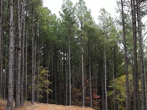 Pine Ridge Trail, Broken Bow, OK 74728