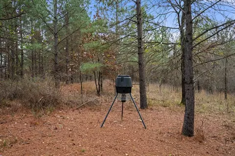 Exterior - 471 Split Log Trl, Broken Bow, OK 74728 photo 9 of 12