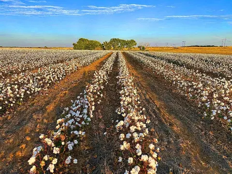 n1690e1250 Road, Erick, OK 73645