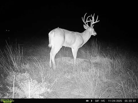w sumner road, Bison, OK 73720 photo 19