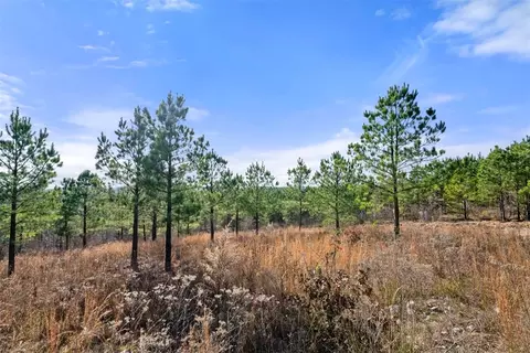 347 Fragrant Cedar Trl, Broken Bow, OK 74728 photo 10