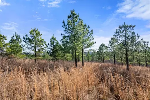 347 Fragrant Cedar Trl, Broken Bow, OK 74728 photo 13