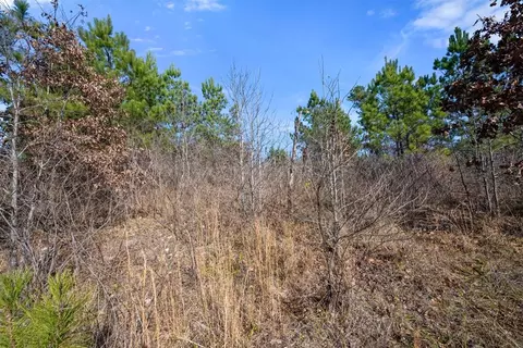 347 Fragrant Cedar Trl, Broken Bow, OK 74728 photo 16
