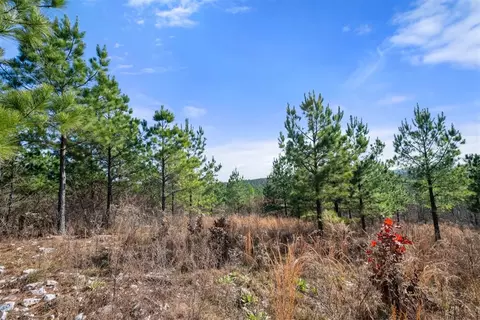 347 Fragrant Cedar Trl, Broken Bow, OK 74728 photo 11