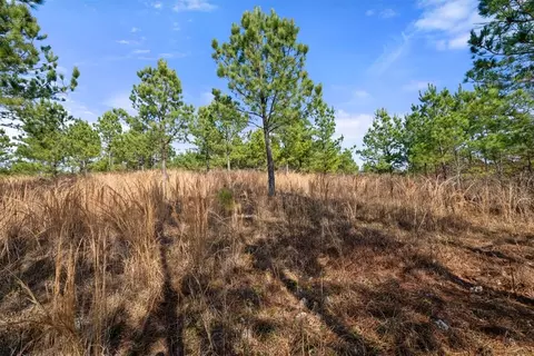 347 Fragrant Cedar Trl, Broken Bow, OK 74728 photo 14