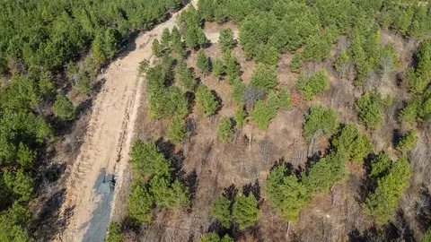 347 Fragrant Cedar Trl, Broken Bow, OK 74728 photo 5