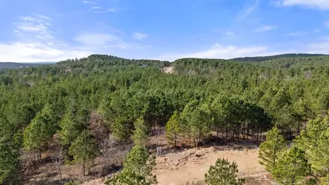 347 Fragrant Cedar Trl, Broken Bow, OK 74728 photo 4