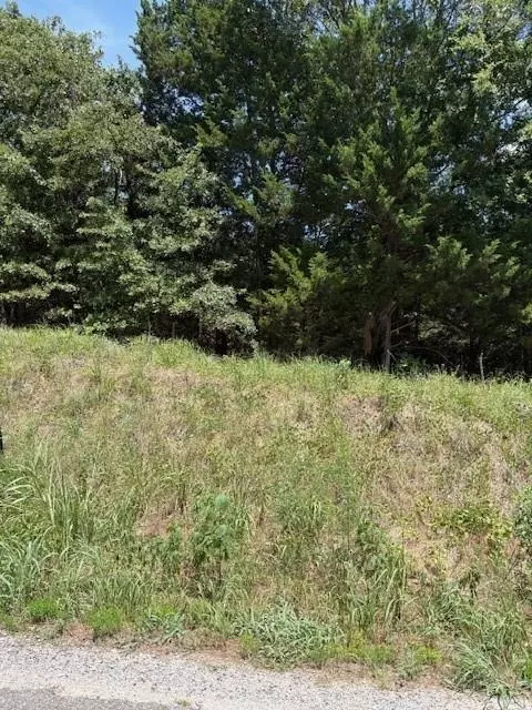 N Tbd Chickasaw Street, Colbert, OK 74733