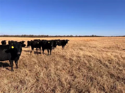 000 Ns Ns 365 Rd, Okemah, OK 74859