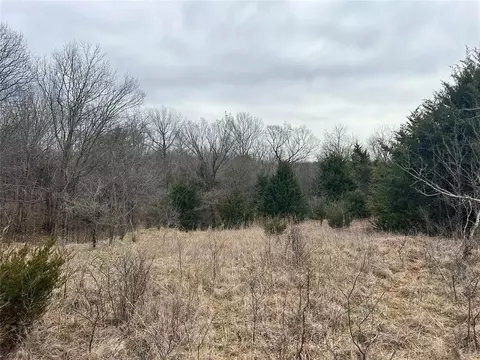 Ropers Avenue, Wayne, OK 73095 photo 8