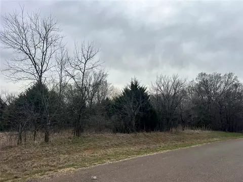 Ropers Avenue, Wayne, OK 73095 photo 9