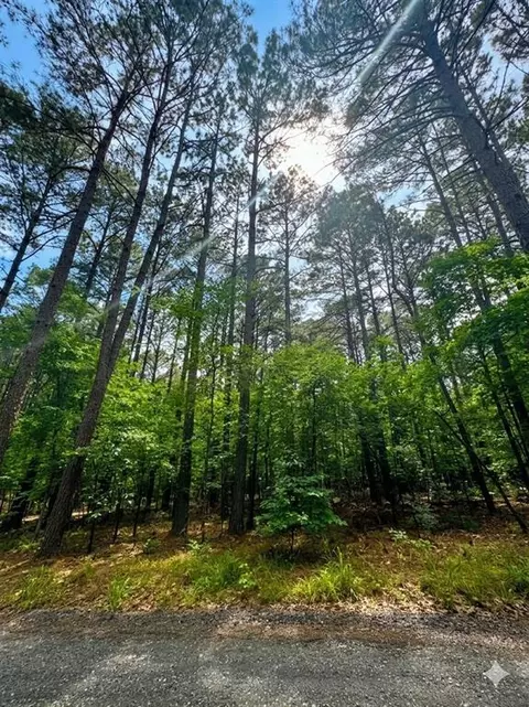 26 Mangrove Rd, Broken Bow, OK 74728 photo 2