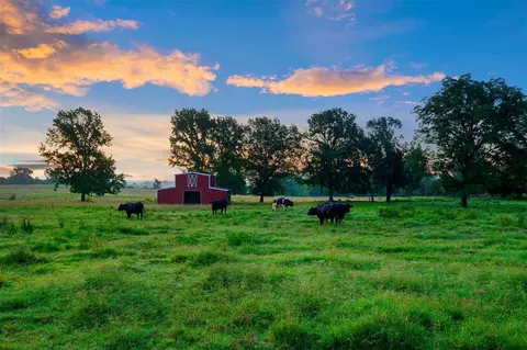 Other - Undisclosed, Idabel, OK 74745 photo 6 of 14