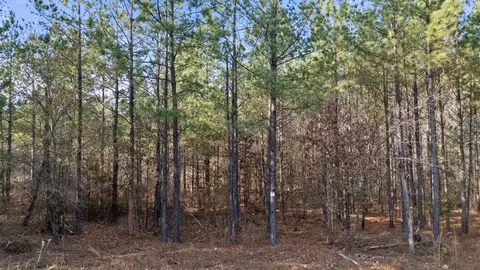 315 Marked Pine Ln, Broken Bow, OK 74728 photo 11