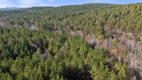 315 Marked Pine Ln, Broken Bow, OK 74728 photo 10