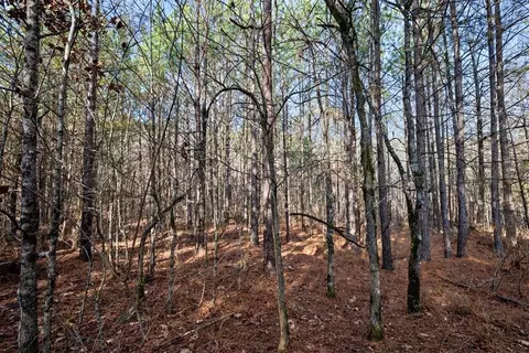 315 Marked Pine Ln, Broken Bow, OK 74728 photo 18