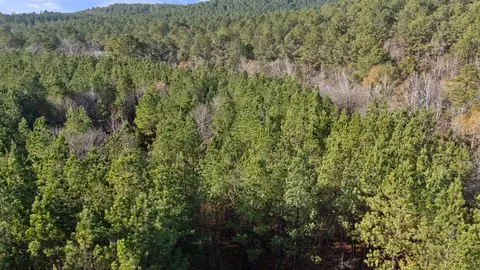 315 Marked Pine Ln, Broken Bow, OK 74728 photo 9