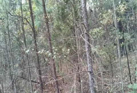 Fannie Mae Drive, Broken Bow, OK 74728