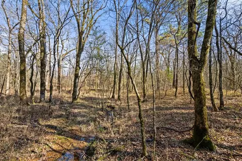 323 Marked Pine Ln, Broken Bow, OK 74728 photo 3
