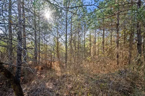 323 Marked Pine Ln, Broken Bow, OK 74728 photo 16