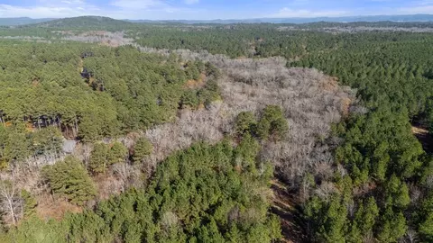 323 Marked Pine Ln, Broken Bow, OK 74728 photo 6