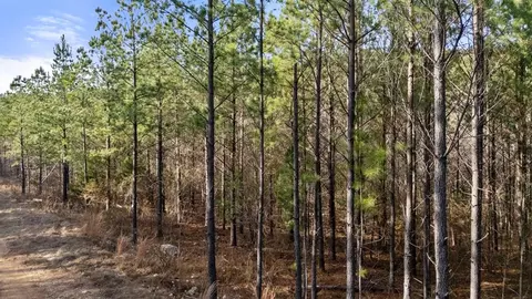 317 Marked Pine Ln, Broken Bow, OK 74728 photo 4