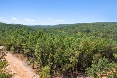 317 Marked Pine Ln, Broken Bow, OK 74728 photo 15