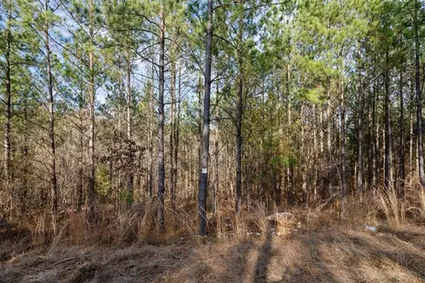 317 Marked Pine Ln, Broken Bow, OK 74728 photo 10
