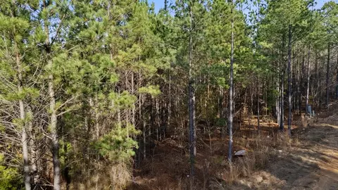 317 Marked Pine Ln, Broken Bow, OK 74728 photo 3