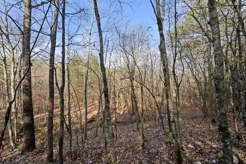317 Marked Pine Ln, Broken Bow, OK 74728 photo 14