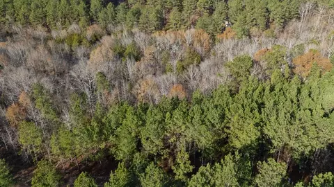 317 Marked Pine Ln, Broken Bow, OK 74728 photo 5