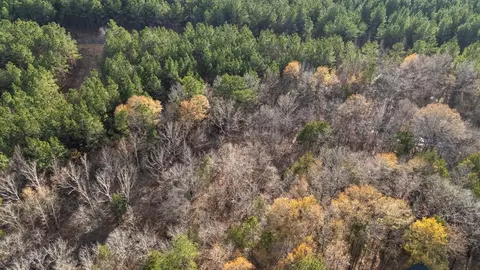 317 Marked Pine Ln, Broken Bow, OK 74728 photo 8