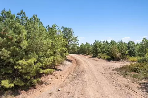 317 Marked Pine Ln, Broken Bow, OK 74728 photo 21