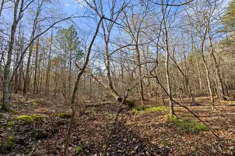 317 Marked Pine Ln, Broken Bow, OK 74728 photo 2