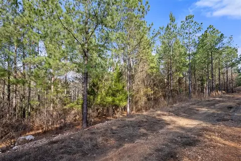 317 Marked Pine Ln, Broken Bow, OK 74728 photo 9