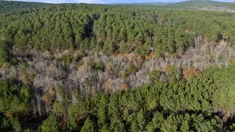 317 Marked Pine Ln, Broken Bow, OK 74728 photo 6