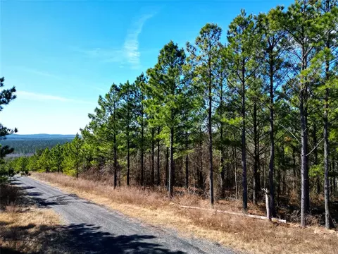 484 Lukfata Fork Trl, Broken Bow, OK 74728