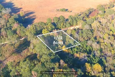 0 Butler Rd, Haworth, OK 74740