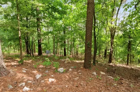 Exterior - 224 Pine Forest Trl, Broken Bow, OK 74728 photo 15 of 15