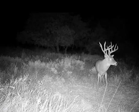 4000 E 110 Rd, Alva, OK 73717 photo 39
