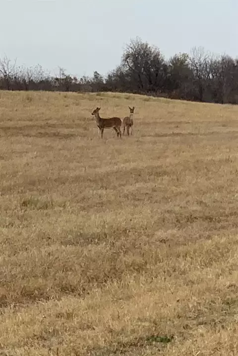 29594 S 160th St, Wayne, OK 73095 photo 3