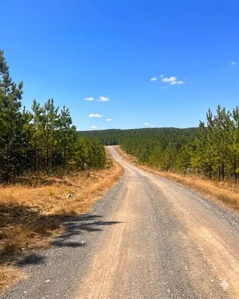 68 Southern Spruce Trl, Broken Bow, OK 74728