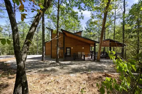 Other - 114 Eagle Pine Ln, Broken Bow, OK 74728 photo 3 of 4
