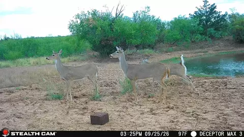 30389 E County Road 1360 Rd, Willow, OK 73673 photo 8
